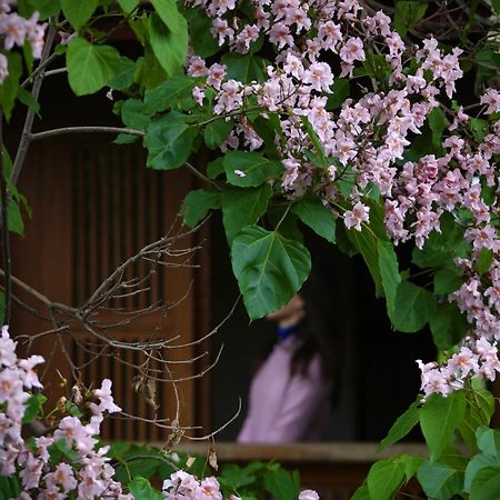 吾爱堂 Apartment Lijiang  Exterior photo