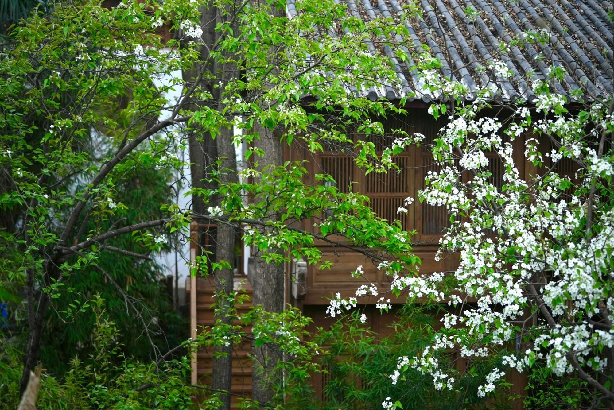 吾爱堂 Apartment Lijiang  Exterior photo