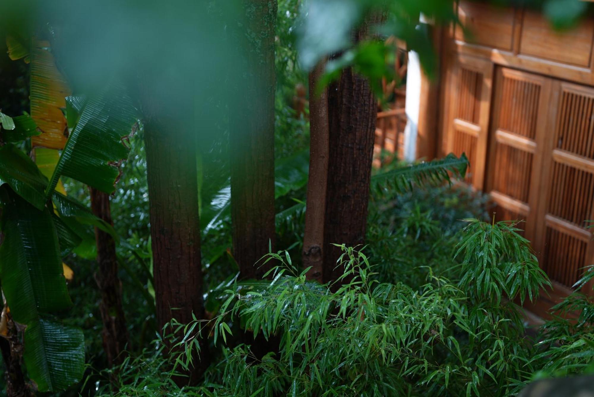 吾爱堂 Apartment Lijiang  Exterior photo