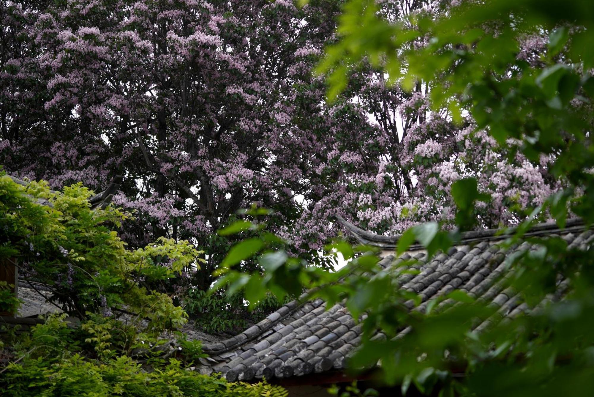 吾爱堂 Apartment Lijiang  Exterior photo
