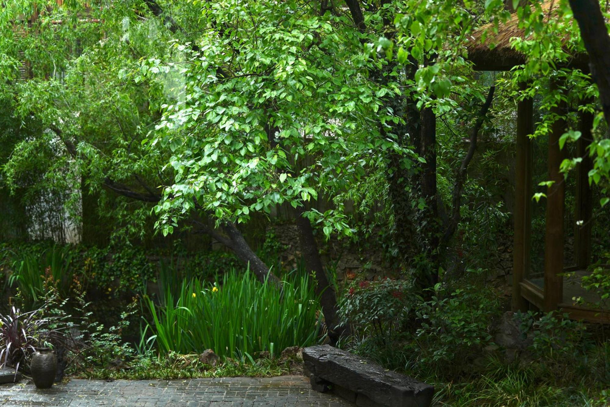 吾爱堂 Apartment Lijiang  Exterior photo