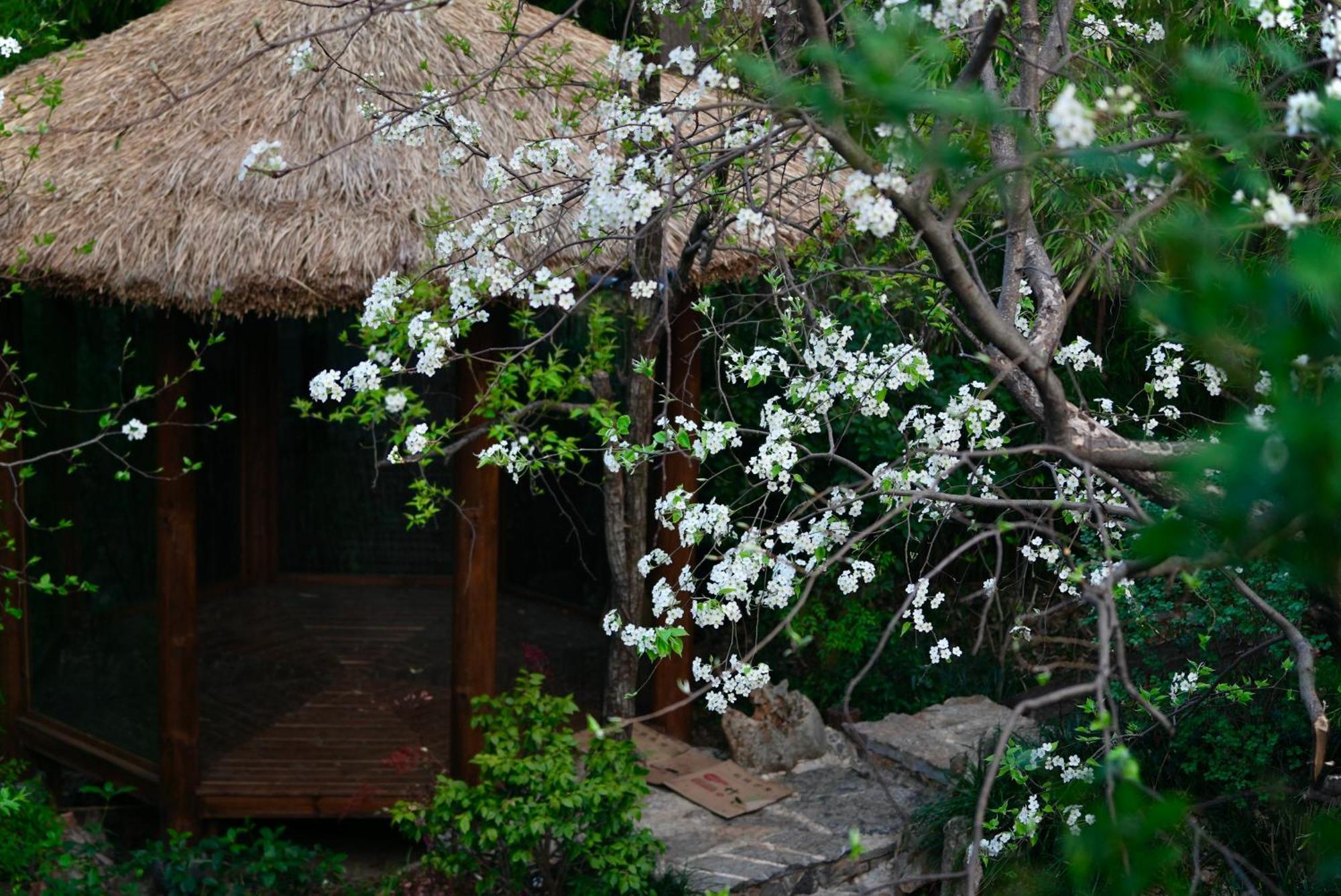 吾爱堂 Apartment Lijiang  Exterior photo