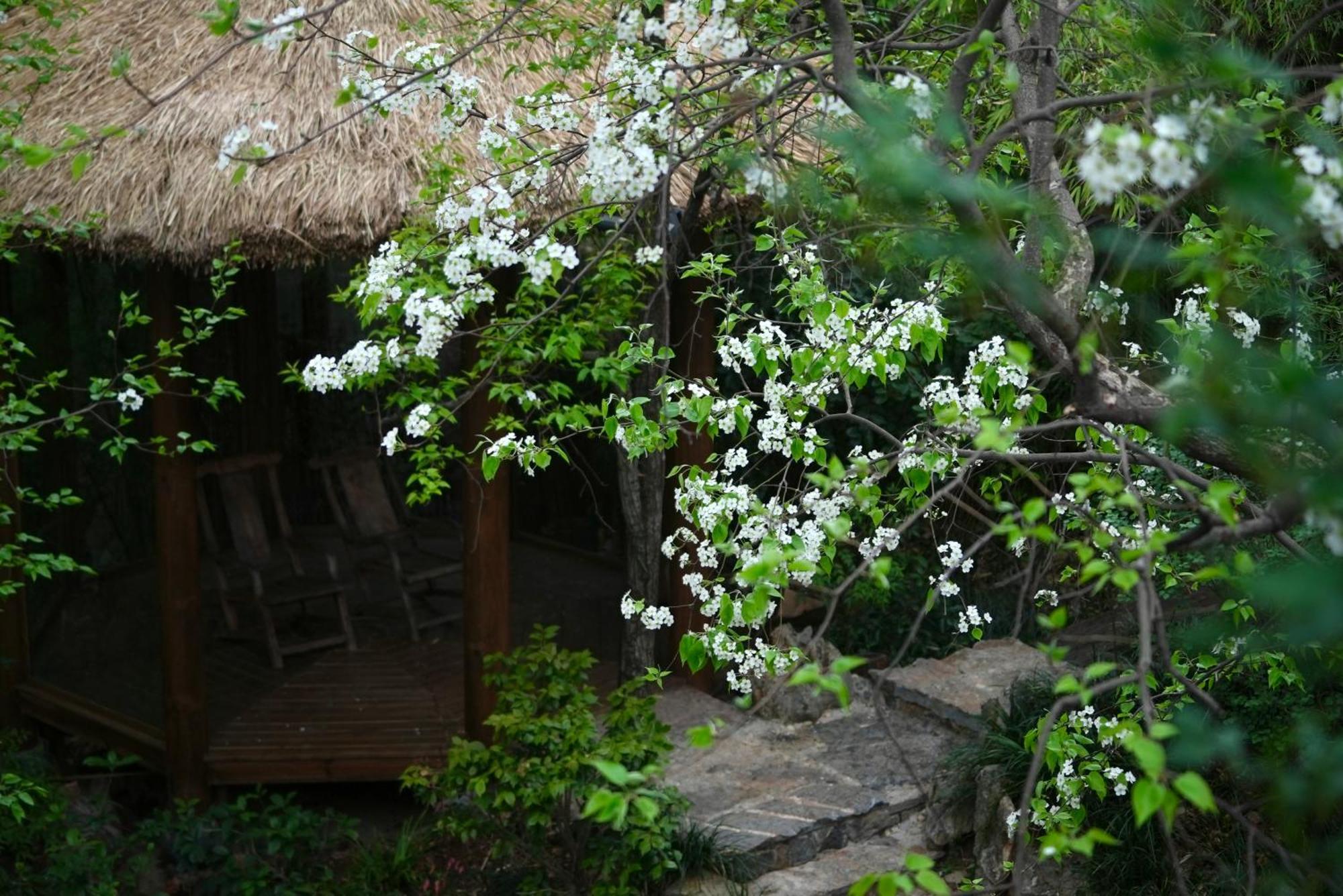 吾爱堂 Apartment Lijiang  Exterior photo