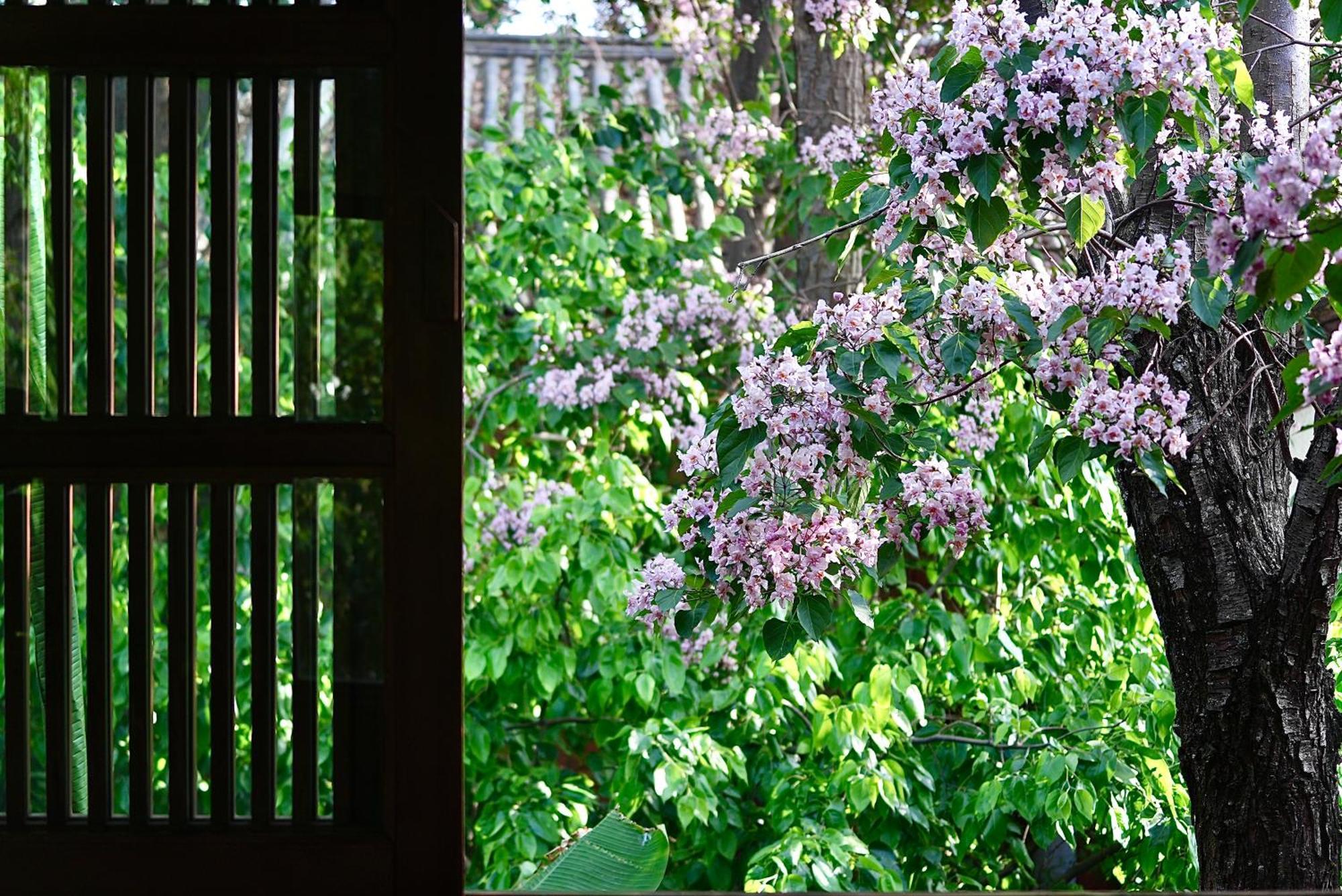 吾爱堂 Apartment Lijiang  Exterior photo